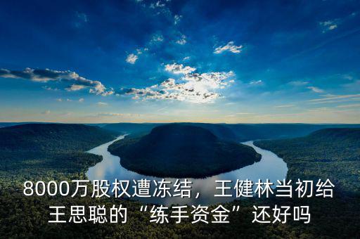 8000萬股權(quán)遭凍結(jié)，王健林當(dāng)初給王思聰?shù)摹熬毷仲Y金”還好嗎