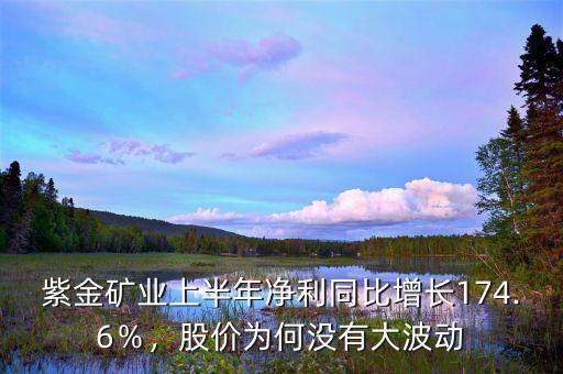 紫金礦業(yè)上半年凈利同比增長174.6％，股價為何沒有大波動