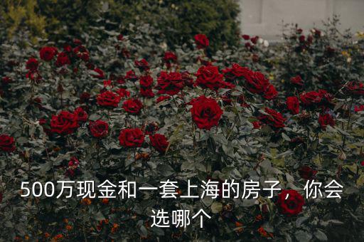 500萬現(xiàn)金和一套上海的房子，你會選哪個