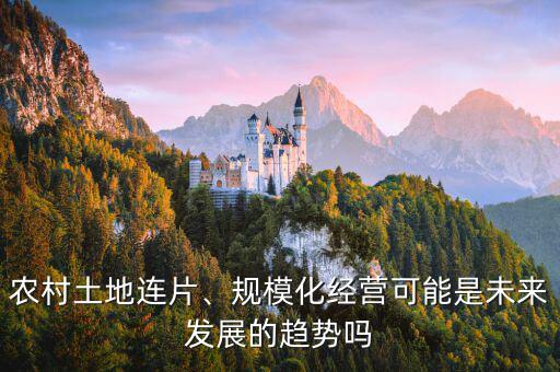 農(nóng)村土地連片、規(guī)?；?jīng)營可能是未來發(fā)展的趨勢嗎