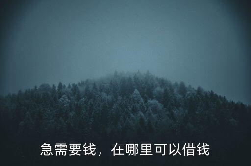 急需要錢，在哪里可以借錢