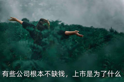有些公司根本不缺錢，上市是為了什么