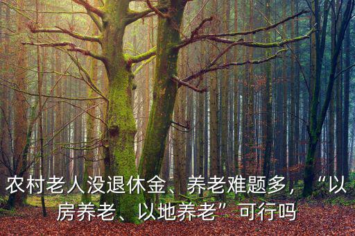 農(nóng)村老人沒退休金、養(yǎng)老難題多，“以房養(yǎng)老、以地養(yǎng)老”可行嗎