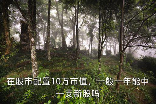 在股市配置10萬市值，一般一年能中一支新股嗎