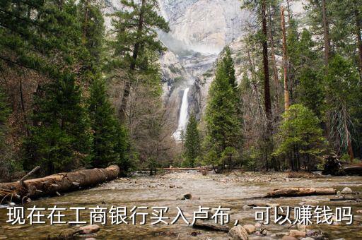 現(xiàn)在在工商銀行買入盧布，可以賺錢嗎