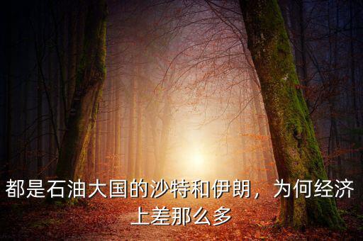 都是石油大國的沙特和伊朗，為何經濟上差那么多