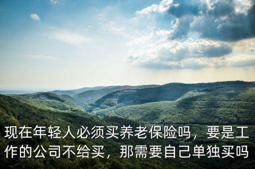 現(xiàn)在年輕人必須買養(yǎng)老保險嗎，要是工作的公司不給買，那需要自己單獨買嗎