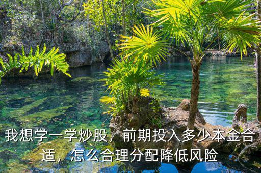我想學(xué)一學(xué)炒股，前期投入多少本金合適，怎么合理分配降低風(fēng)險(xiǎn)