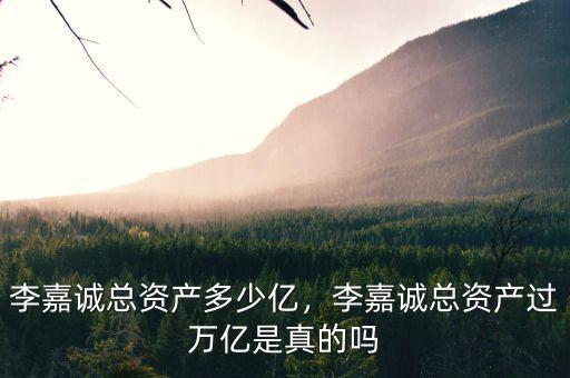 李嘉誠(chéng)總資產(chǎn)多少億，李嘉誠(chéng)總資產(chǎn)過(guò)萬(wàn)億是真的嗎