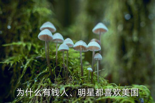 為什么有錢(qián)人、明星都喜歡美國(guó)