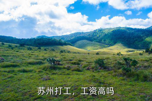 蘇州打工，工資高嗎