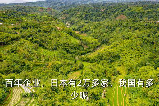百年企業(yè)，日本有2萬多家，我國有多少呢