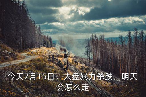 今天7月15日，大盤(pán)暴力殺跌，明天會(huì)怎么走