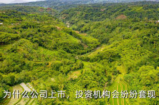 為什么公司上市，投資機構會紛紛套現