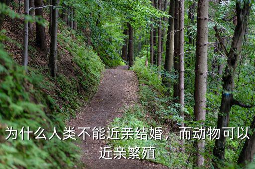 為什么人類不能近親結(jié)婚，而動(dòng)物可以近親繁殖