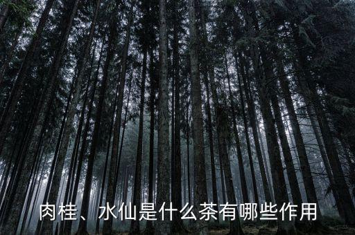 肉桂、水仙是什么茶有哪些作用