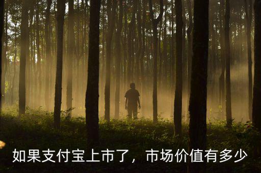 如果支付寶上市了，市場(chǎng)價(jià)值有多少