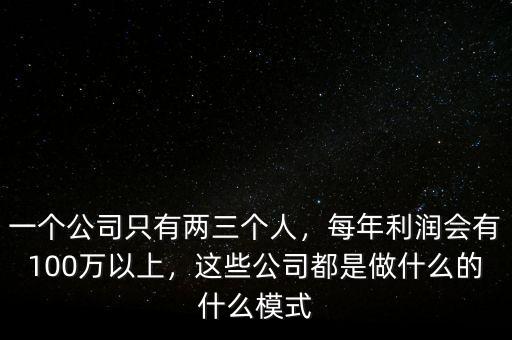 一個(gè)公司只有兩三個(gè)人，每年利潤會(huì)有100萬以上，這些公司都是做什么的什么模式
