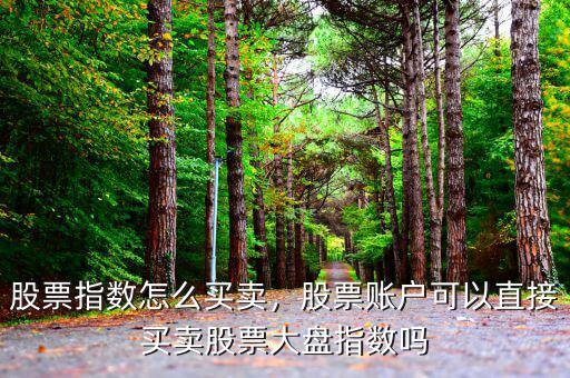 股票指數(shù)怎么買賣，股票賬戶可以直接買賣股票大盤指數(shù)嗎