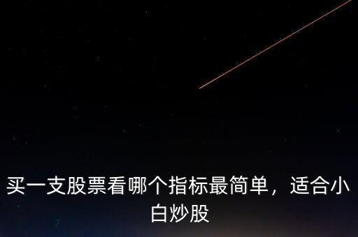 買一支股票看哪個(gè)指標(biāo)最簡(jiǎn)單，適合小白炒股