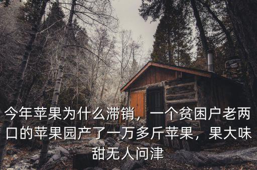 今年蘋(píng)果為什么滯銷，一個(gè)貧困戶老兩口的蘋(píng)果園產(chǎn)了一萬(wàn)多斤蘋(píng)果，果大味甜無(wú)人問(wèn)津