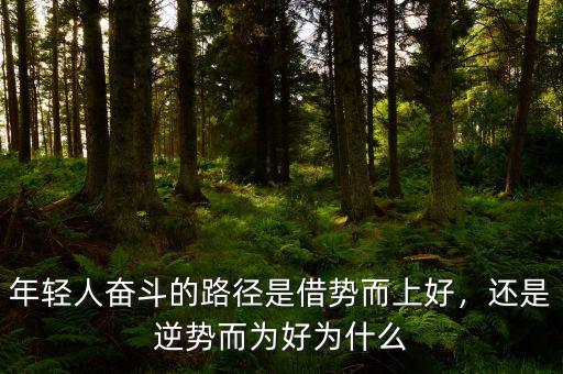 年輕人奮斗的路徑是借勢(shì)而上好，還是逆勢(shì)而為好為什么