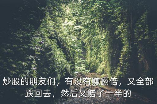 炒股的朋友們，有沒有賺翻倍，又全部跌回去，然后又賠了一半的