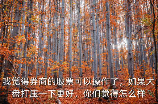 我覺得券商的股票可以操作了，如果大盤打壓一下更好，你們覺得怎么樣
