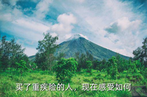 大家買(mǎi)的什么疾病險(xiǎn),買(mǎi)了重疾險(xiǎn)的人