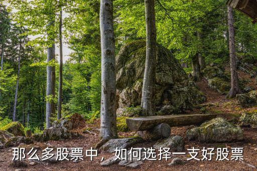那么多股票中，如何選擇一支好股票