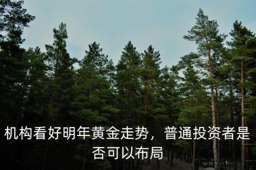 機(jī)構(gòu)看好明年黃金走勢(shì)，普通投資者是否可以布局