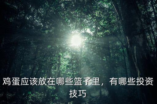 雞蛋應該放在哪些籃子里，有哪些投資技巧