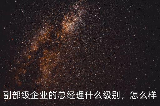 副部級企業(yè)的總經(jīng)理什么級別，怎么樣