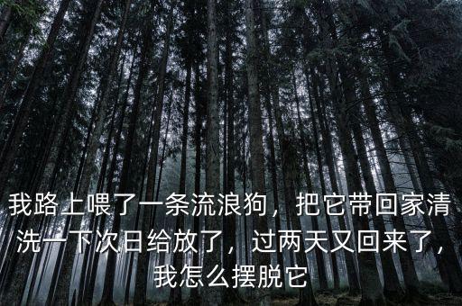 我路上喂了一條流浪狗，把它帶回家清洗一下次日給放了，過兩天又回來了，我怎么擺脫它