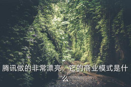 騰訊做的非常漂亮，它的商業(yè)模式是什么