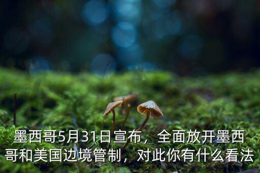 墨西哥5月31日宣布，全面放開墨西哥和美國(guó)邊境管制，對(duì)此你有什么看法