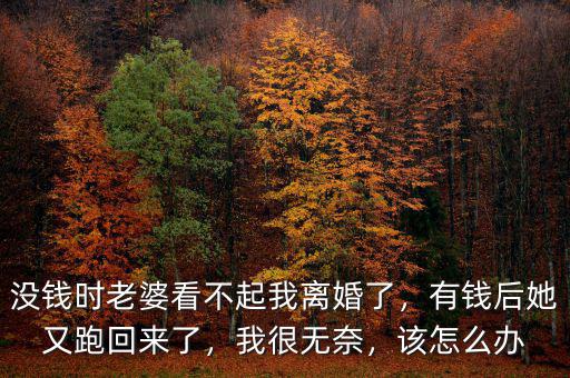 沒錢時老婆看不起我離婚了，有錢后她又跑回來了，我很無奈，該怎么辦