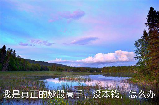 我是真正的炒股高手，沒(méi)本錢，怎么辦