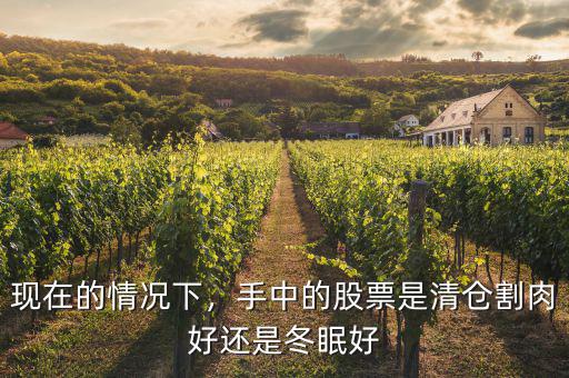 股票什么情況下清倉,股市在什么情況下你會(huì)撤退