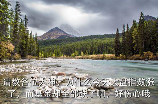 請(qǐng)教各位大神，為什么今天大盤(pán)指數(shù)漲了，而基金卻全部跌了啊，好傷心哦