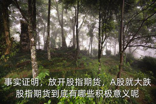 事實證明，放開股指期貨，A股就大跌股指期貨到底有哪些積極意義呢