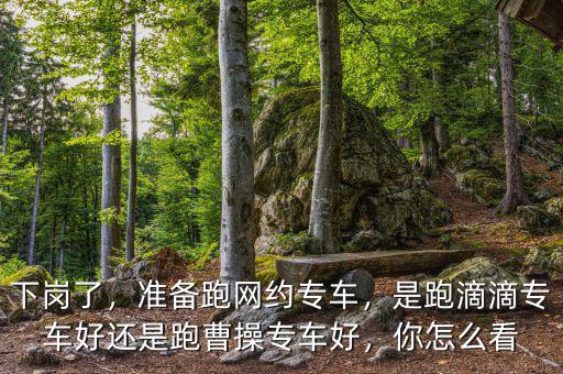 下崗了，準(zhǔn)備跑網(wǎng)約專車，是跑滴滴專車好還是跑曹操專車好，你怎么看