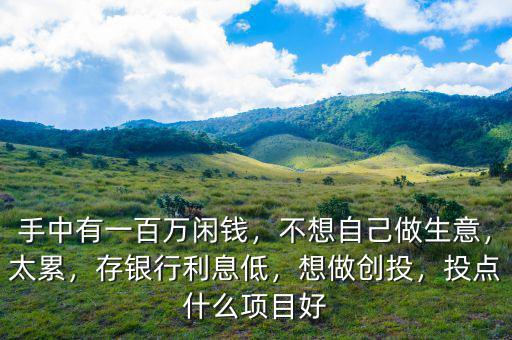 手中有一百萬(wàn)閑錢，不想自己做生意，太累，存銀行利息低，想做創(chuàng)投，投點(diǎn)什么項(xiàng)目好