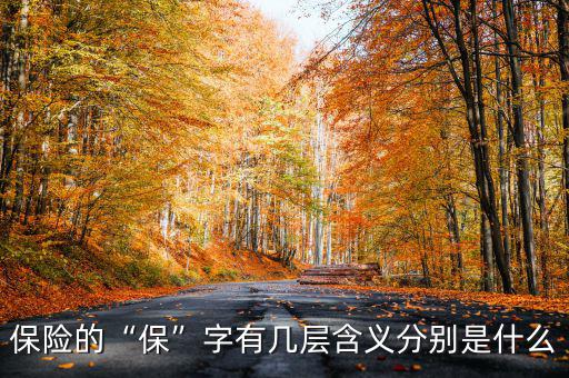 保險的“?！弊钟袔讓雍x分別是什么