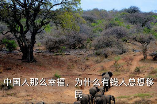 中國人那么幸福，為什么有錢人總想移民
