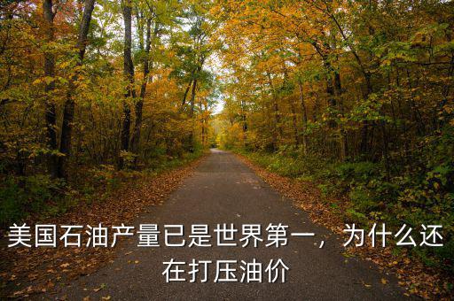 美國石油產(chǎn)量已是世界第一，為什么還在打壓油價