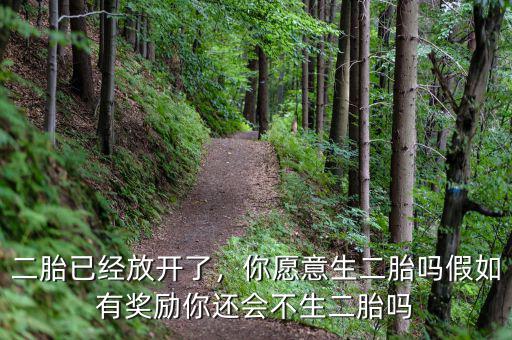 二胎已經(jīng)放開了，你愿意生二胎嗎假如有獎勵你還會不生二胎嗎