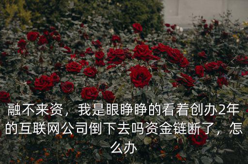 融不來資，我是眼睜睜的看著創(chuàng)辦2年的互聯(lián)網公司倒下去嗎資金鏈斷了，怎么辦