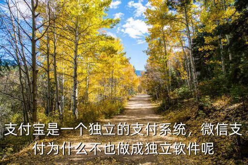 支付寶是一個(gè)獨(dú)立的支付系統(tǒng)，微信支付為什么不也做成獨(dú)立軟件呢