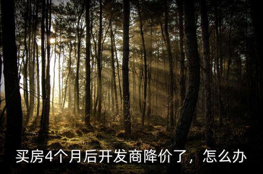 買房4個月后開發(fā)商降價了，怎么辦